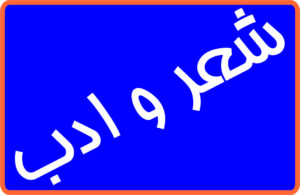 برگزاری بیش از ۴۵ برنامه ادبی در ارومیه در سال ۱۴۰۲