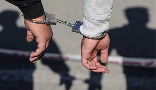 سارقان حرفه ای در ماکو حین سرقت دستگیر شدند