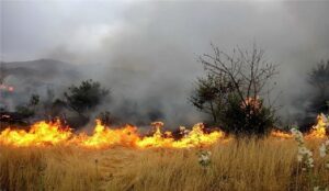 آتش سوزی در ۲۶۵ هکتار از مراتع و جنگلهای آذربایجان غربی