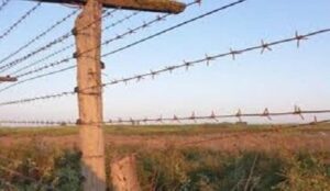 مرزبانان جمهوری آذربایجان در نزدیکی مرز ایران به شهادت رسیدند
