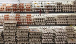 تخم‌مرغ نگهداری شده در یخچال را خریداری کنید
