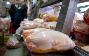 توزیع مرغ منجمد طرح تنظیم بازار در آذربایجان غربی آغاز شد