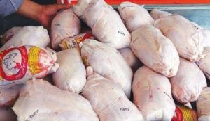 کشف 10 تن مرغ منجمد فاقد مجوز توزیع در میاندوآب