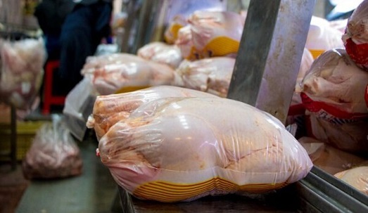 تا روز شنبه کمبود مرغ زنده در استان برطرف می شود