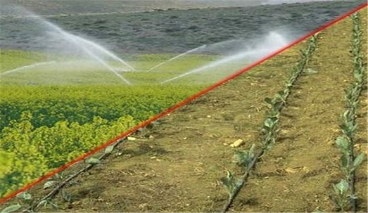 برنامه مشارکت کشاورزان در احیای دریاچه ارومیه اجرایی می شود