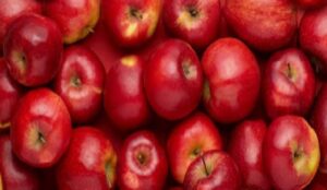 ممنوعیت صادرات سیب در آذربایجان‌غربی شایعه‌ای بیش نیست