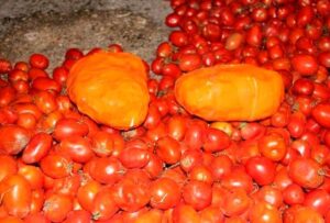 بیش از ۳۳ کیلوگرم مواد مخدر از بار گوجه فرنگی در ارومیه کشف شد