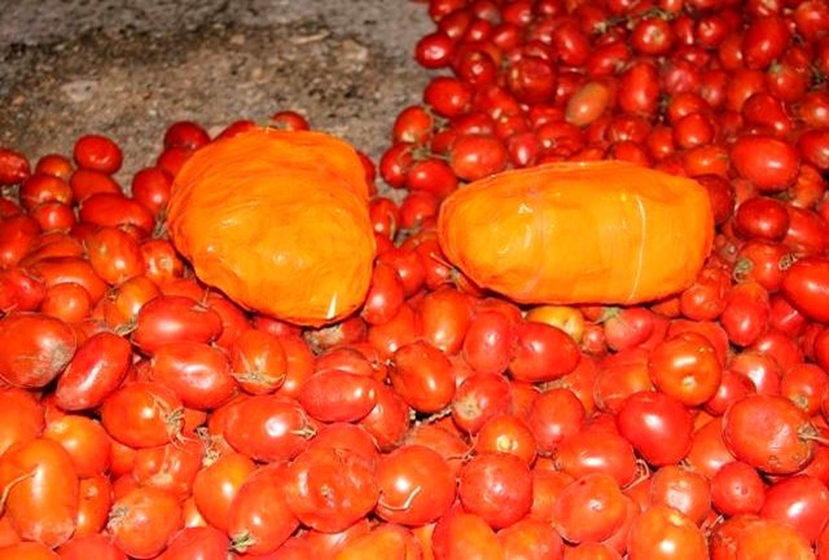 بیش از ۳۳ کیلوگرم مواد مخدر از بار گوجه فرنگی در ارومیه کشف شد